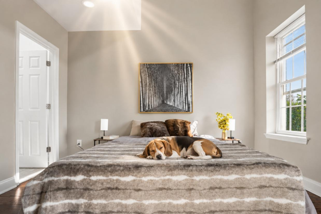 Professional home staging Washington DC, naturally lit staged living room with cathedral ceiling by Harvard Home Services