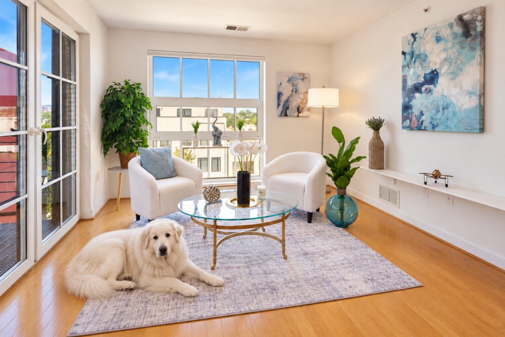 Staged living room with white boucle chairs, glass coffee table, layered textures, and abstract art in natural light, professional home staging DMV by Harvard Home Services